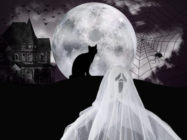 Dekoracja Halloween wisząca ozdoba duch szkielet zjawa 65cm - obrazek 2