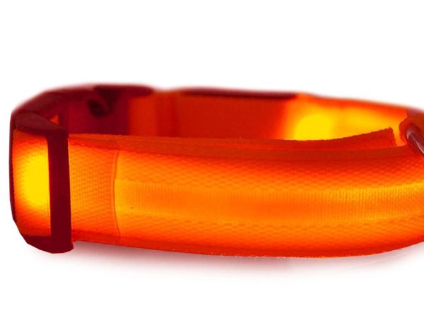Obroża świecąca w ciemności led dla psa i kota regulowana regulacja 59cm - obrazek 5