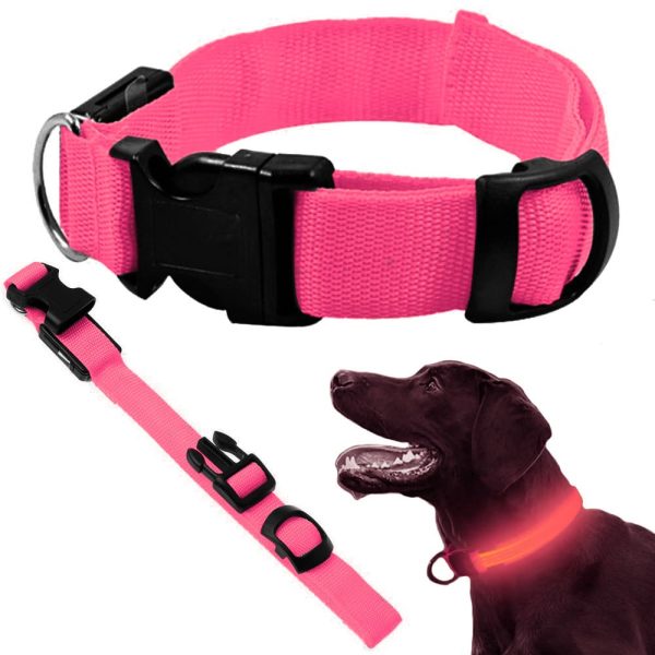 Obroża świecąca w ciemności led dla psa i kota regulowana regulacja 59cm - obrazek 3