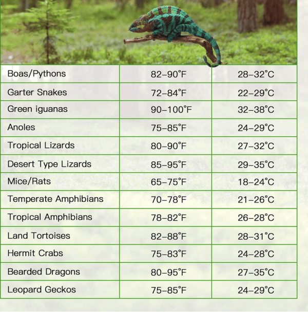 iPower mata grzewcza do terrarium dla gadów z Regulacją Temperatury bez opakowania - obrazek 2