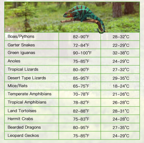 IPower mata grzewcza do terrarium dla gadów z Regulacją Temperatury - obrazek 5